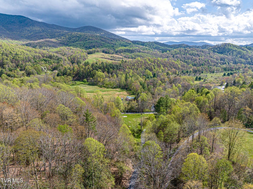 Photo #37: 513 Beadwood Lane