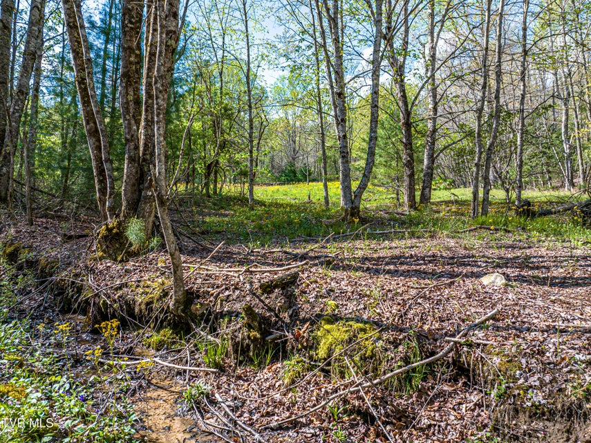 Photo #41: 513 Beadwood Lane