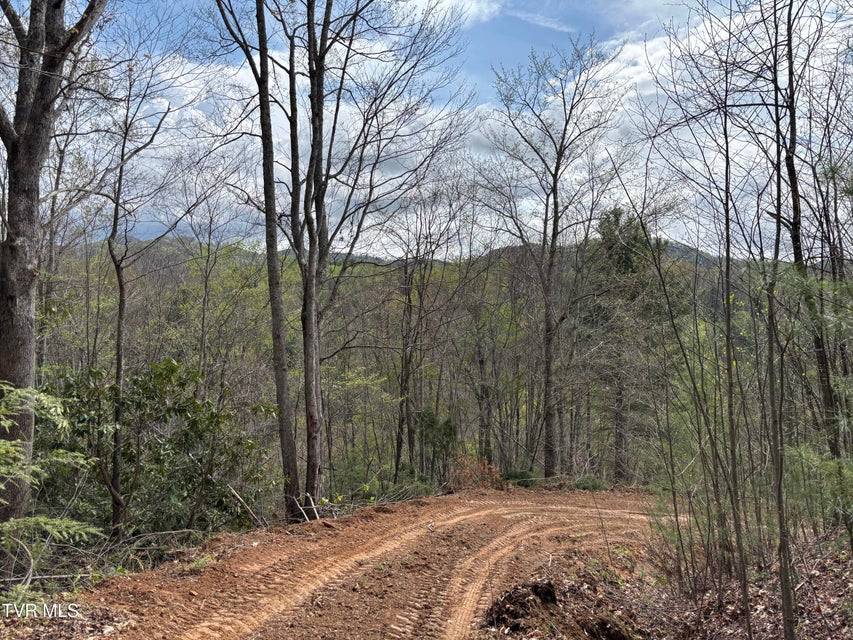 Photo #3: 00 Joe Wallace Road