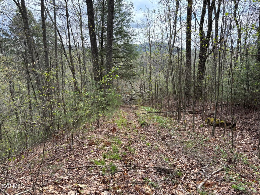 Photo #4: 00 Joe Wallace Road