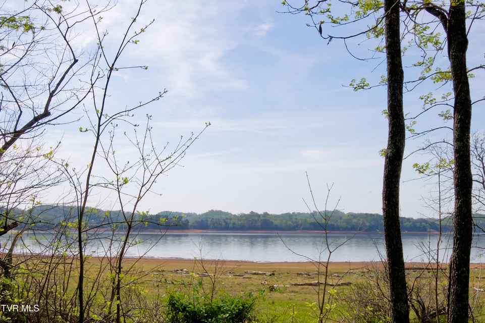 Photo #4: 9056 Paradise View Drive
