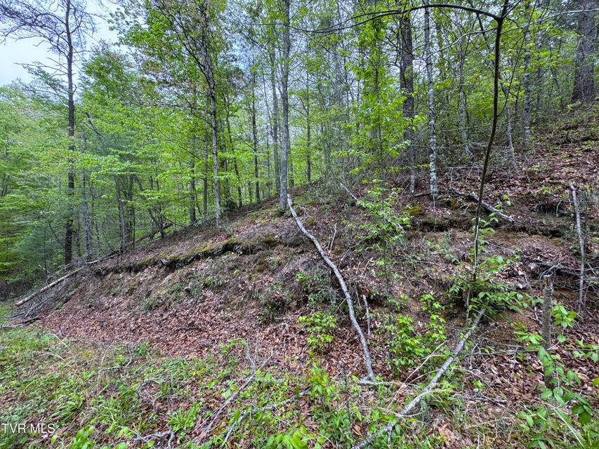 Photo #2: 376 Summer House Hollow Road