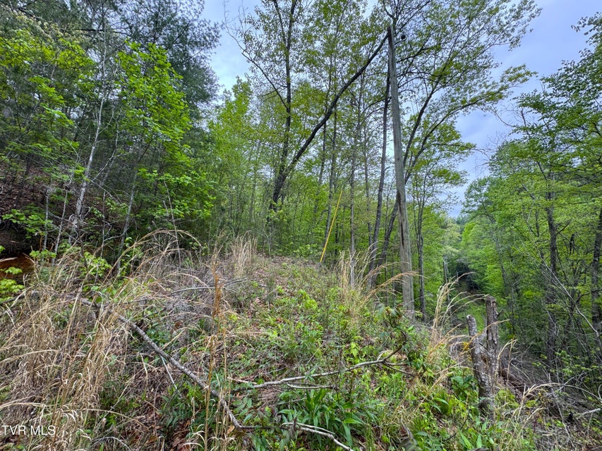 Photo #3: 376 Summer House Hollow Road