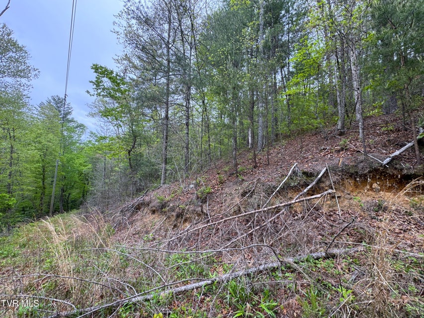Photo #4: 376 Summer House Hollow Road