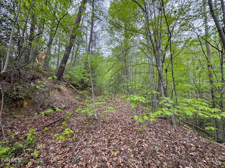 Photo #7: 376 Summer House Hollow Road