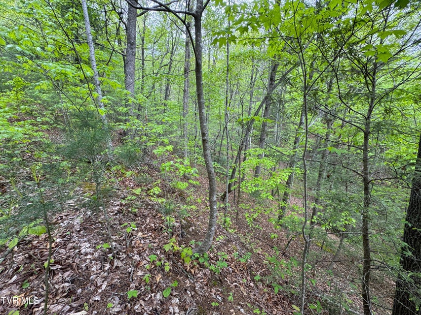 Photo #8: 376 Summer House Hollow Road