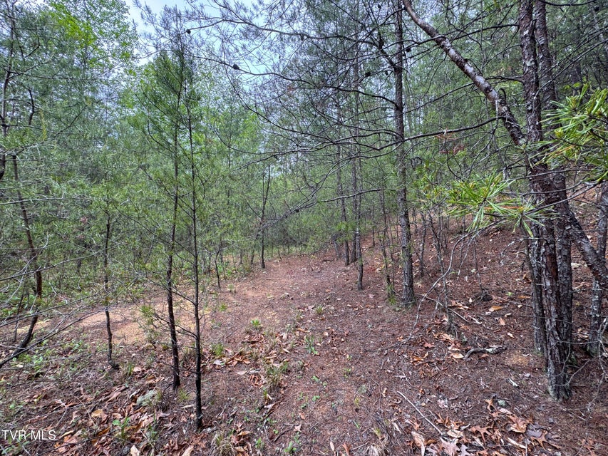 Photo #12: 376 Summer House Hollow Road