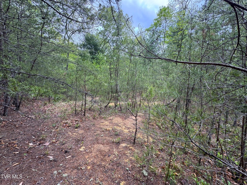 Photo #14: 376 Summer House Hollow Road