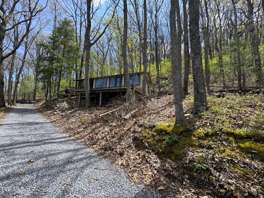 Photo #3: 2939 Dupont Springs Road