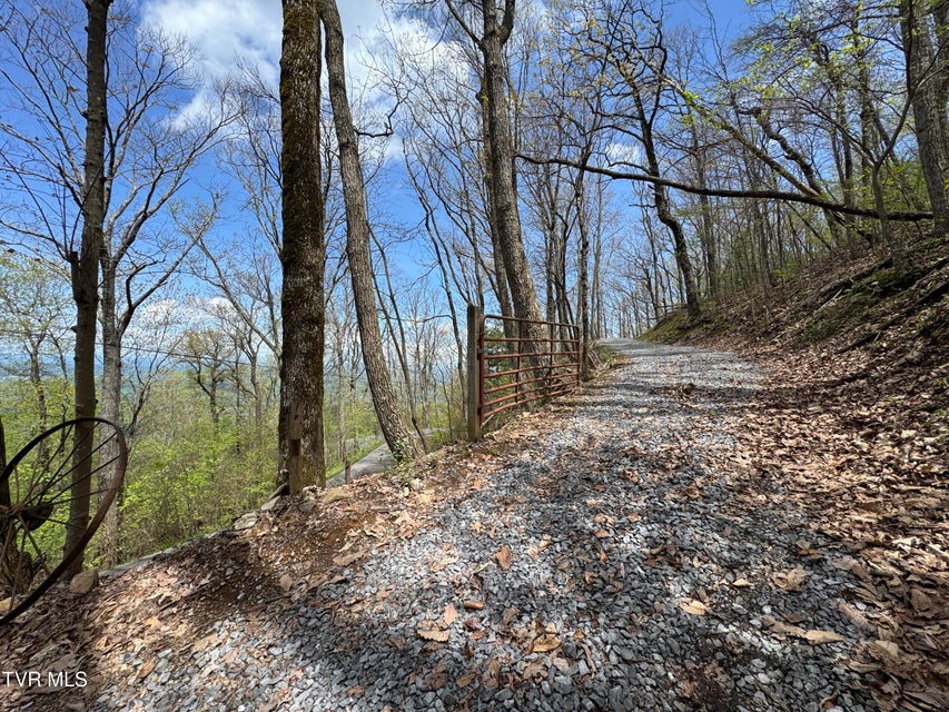 Photo #16: 2939 Dupont Springs Road