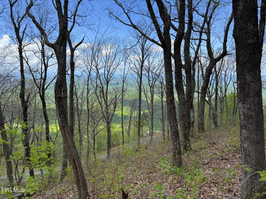 Photo #17: 2939 Dupont Springs Road