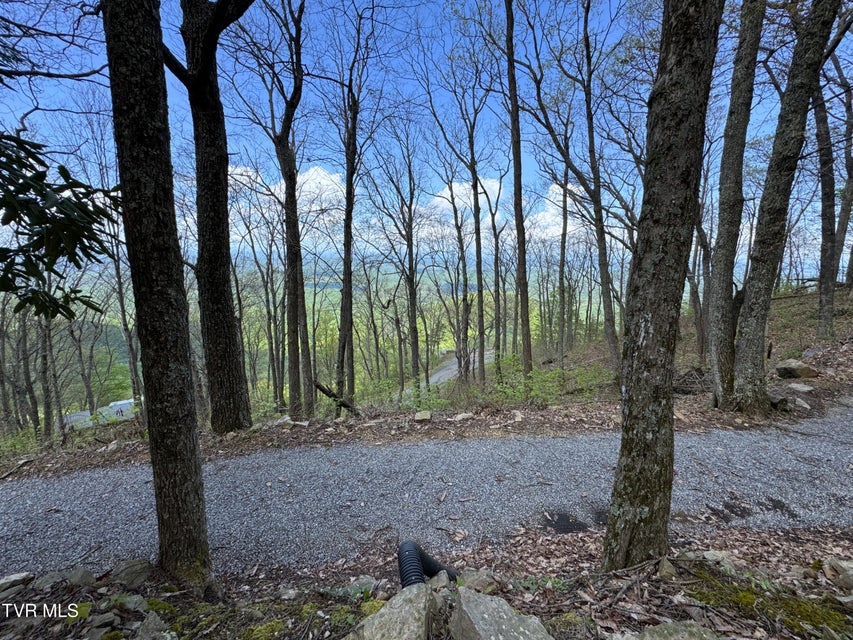 Photo #18: 2939 Dupont Springs Road