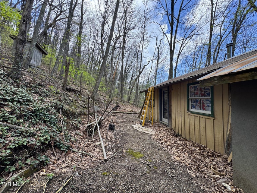 Photo #19: 2939 Dupont Springs Road