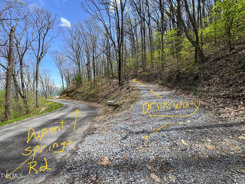 Photo #21: 2939 Dupont Springs Road