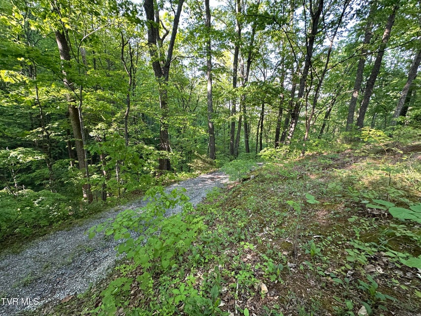 Photo #23: 965 Mountain Trail Drive