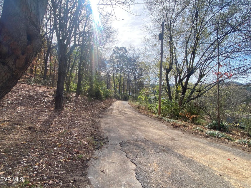 Photo #8: 183 Bayless Road