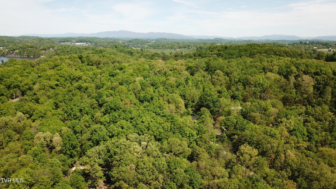 Photo #6: 108 J D King Road