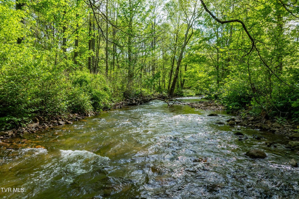 Photo #44: 135 Grindstaff Hollow Road