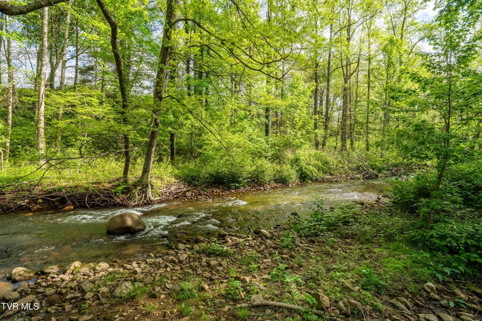 Photo #47: 135 Grindstaff Hollow Road