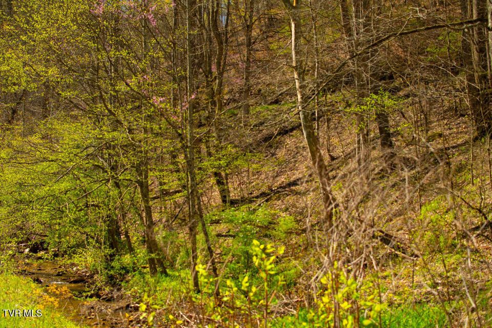 Photo #19: 8553 Home Crk Road