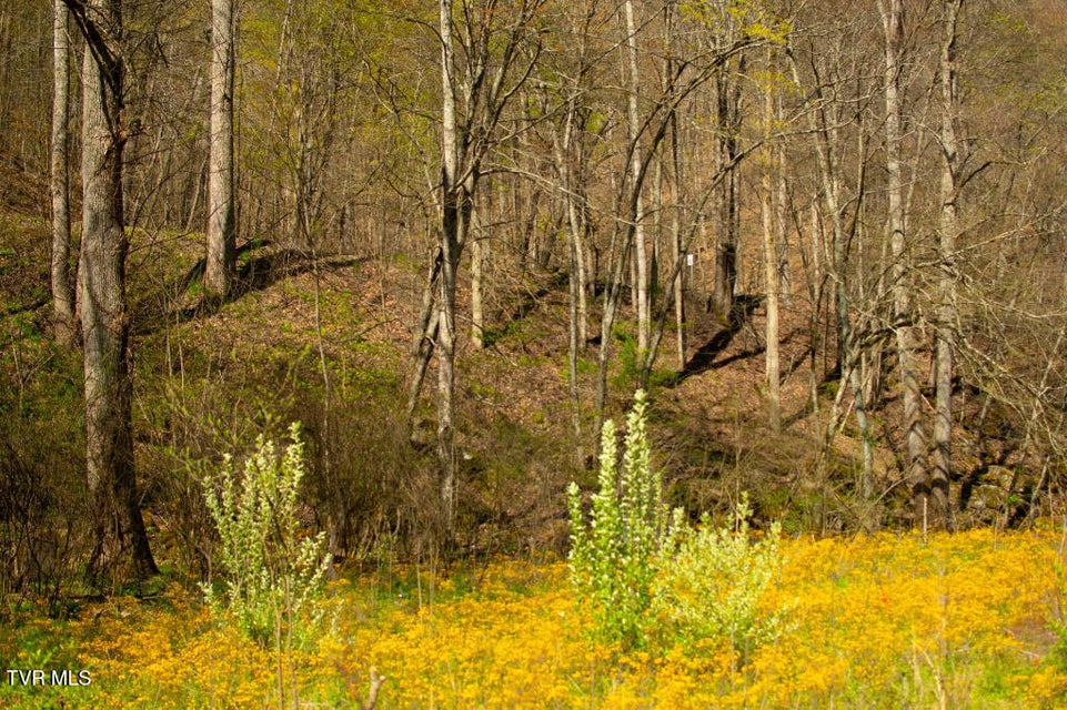 Photo #20: 8553 Home Crk Road