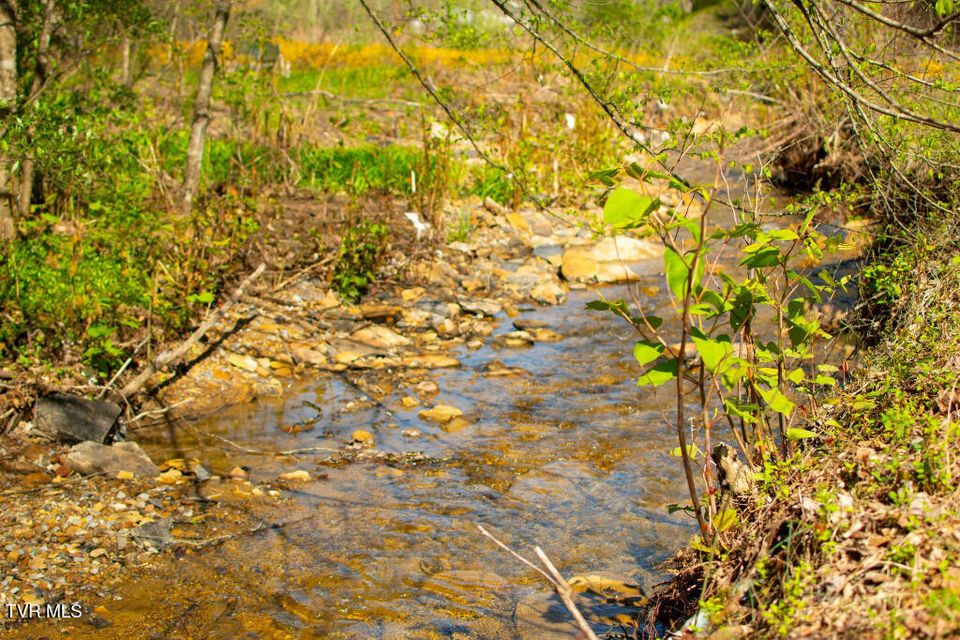 Photo #22: 8553 Home Crk Road