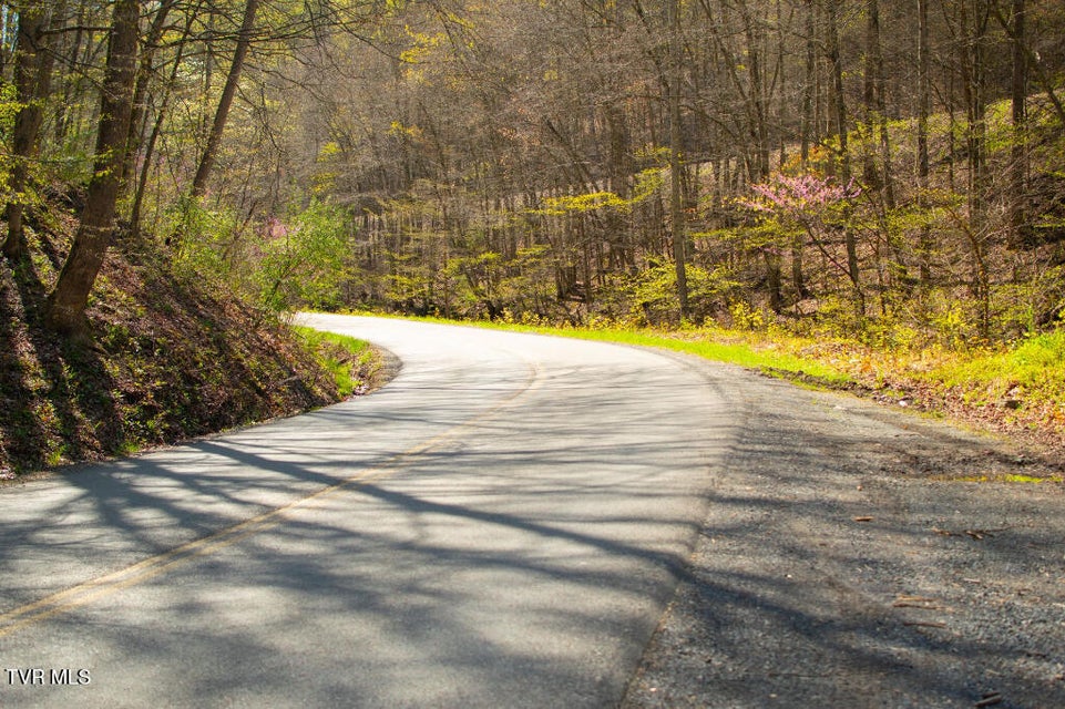 Photo #24: 8553 Home Crk Road