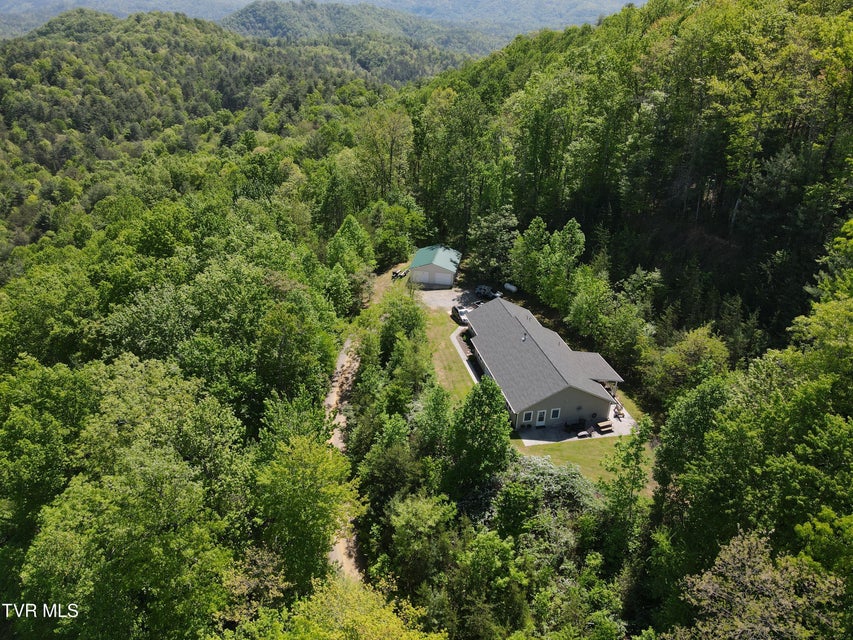 Photo #31: 804 Punkton Road