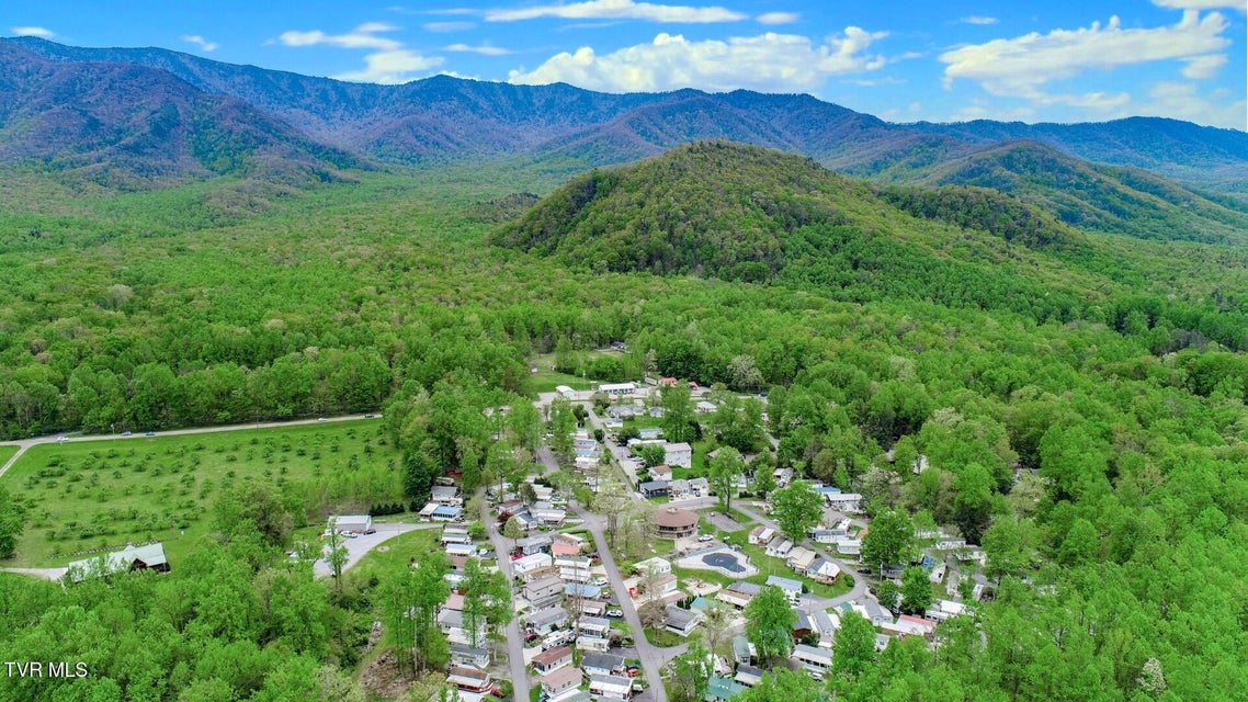 Photo #37: 5355 East Parkway Lot 56