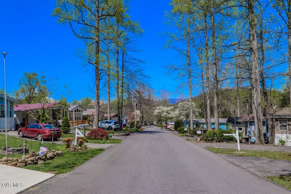 Photo #48: 5355 East Parkway Lot 56