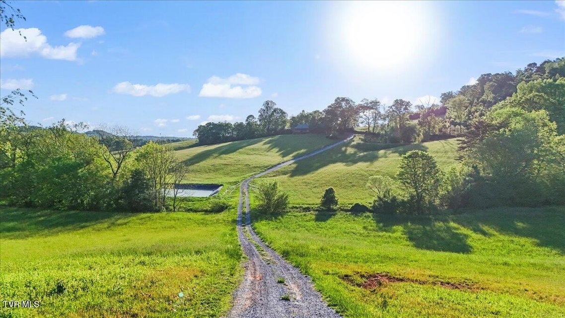 Photo #81: 1942 Bailey Bridge Road