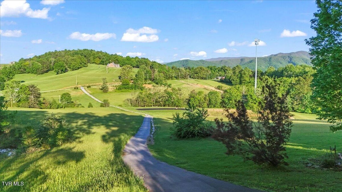 Photo #84: 1942 Bailey Bridge Road