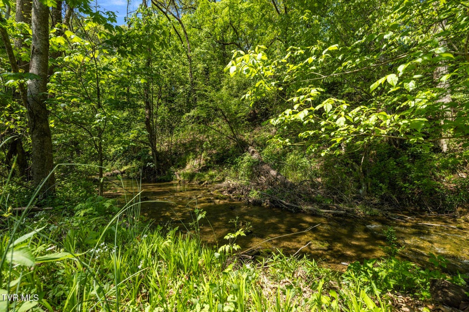 Photo #35: 153 Rippling Run Road