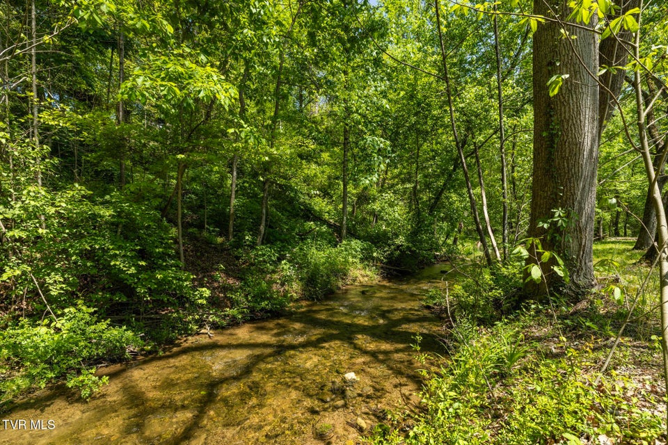 Photo #5: 153 Rippling Run Road