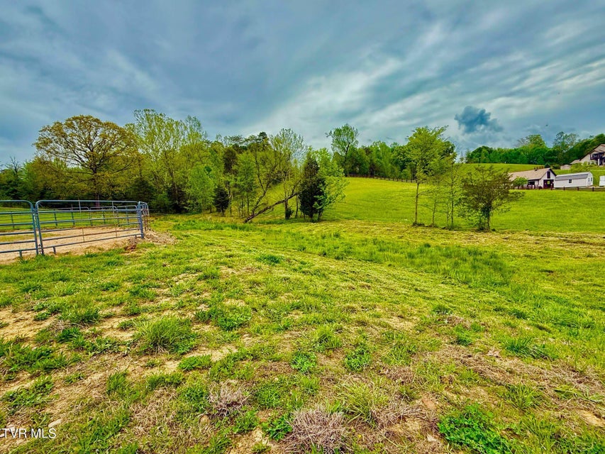 Photo #13: 169 Williams Lane Lane