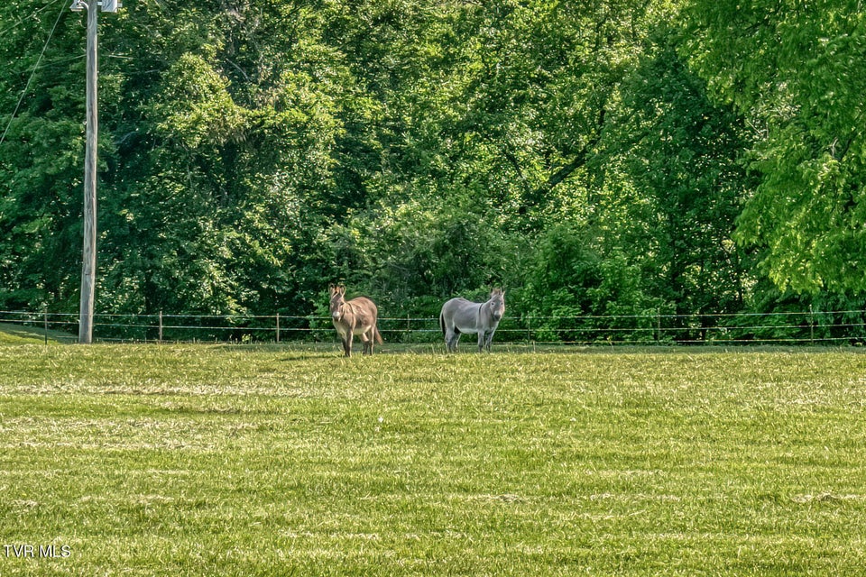 Photo #60: 190 Lyons Road
