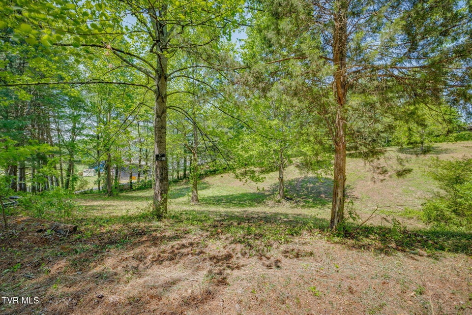 Photo #11: Lot 72 Woodbury Drive