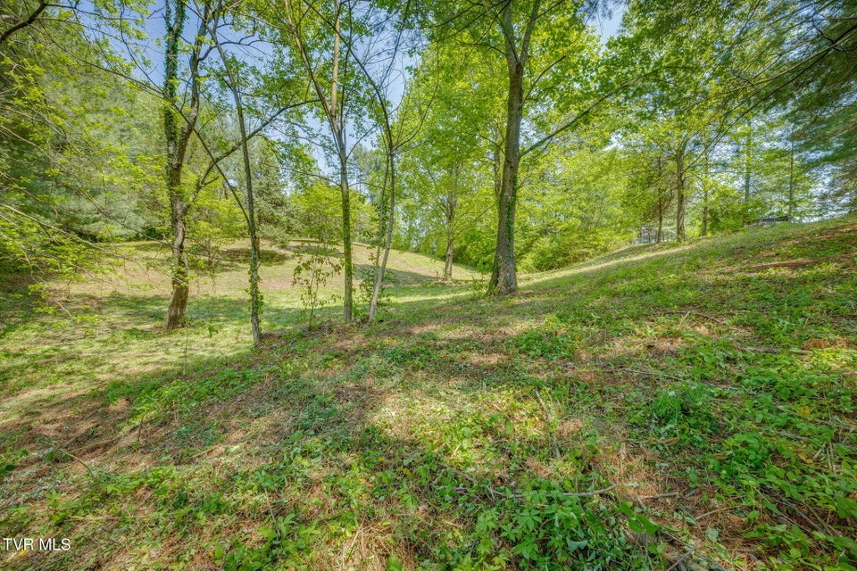 Photo #12: Lot 72 Woodbury Drive