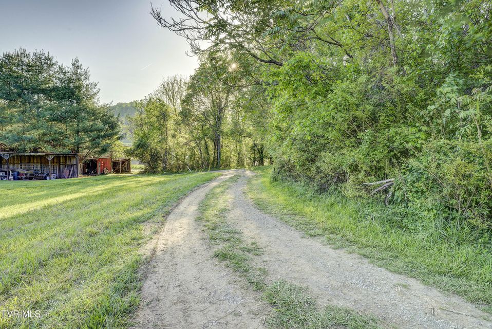 Photo #31: 701 Bailey Lane