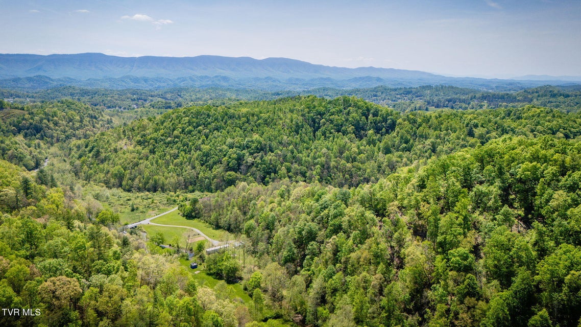 Photo #33: 120 Bear Hollow Rd Road