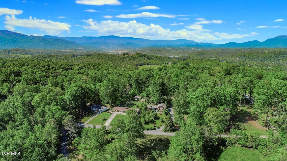 Photo #46: 991 Missionary Ridge Rd