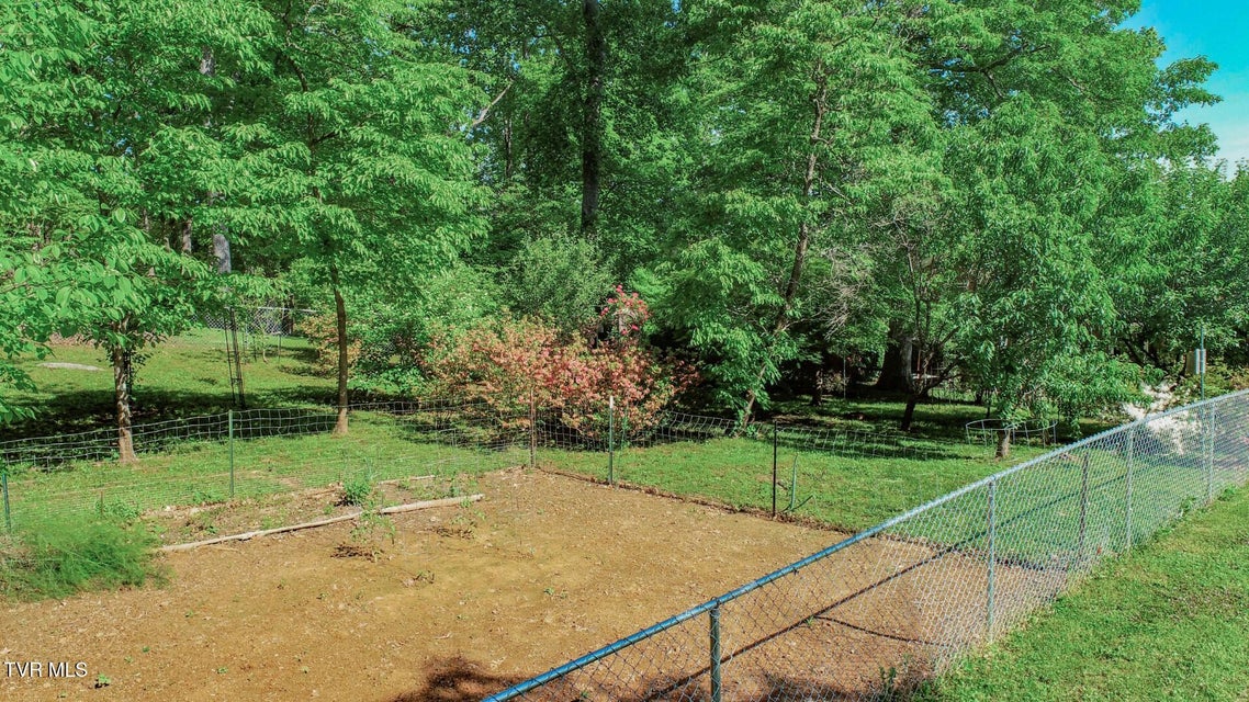 Photo #51: 991 Missionary Ridge Rd