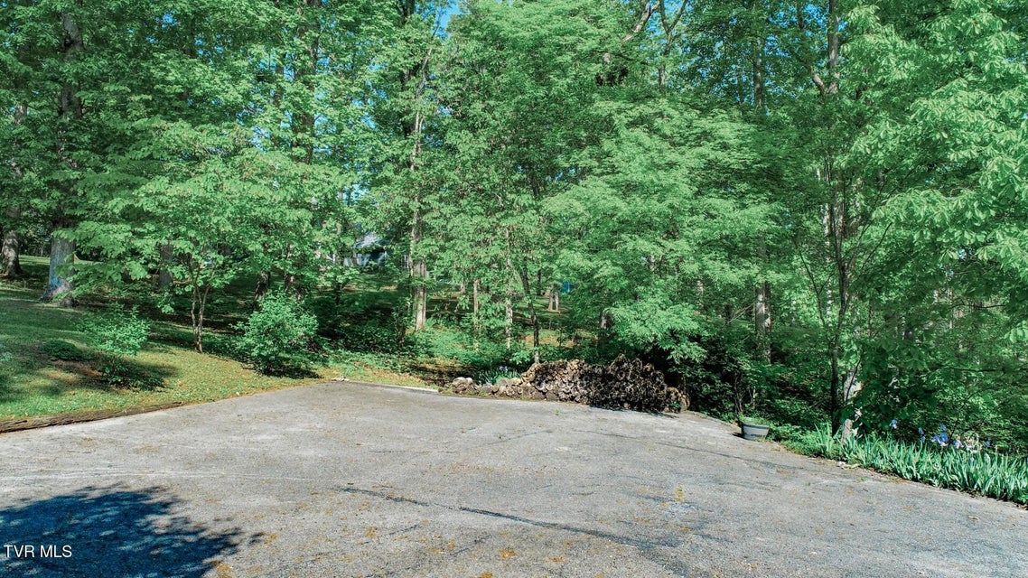 Photo #54: 991 Missionary Ridge Rd