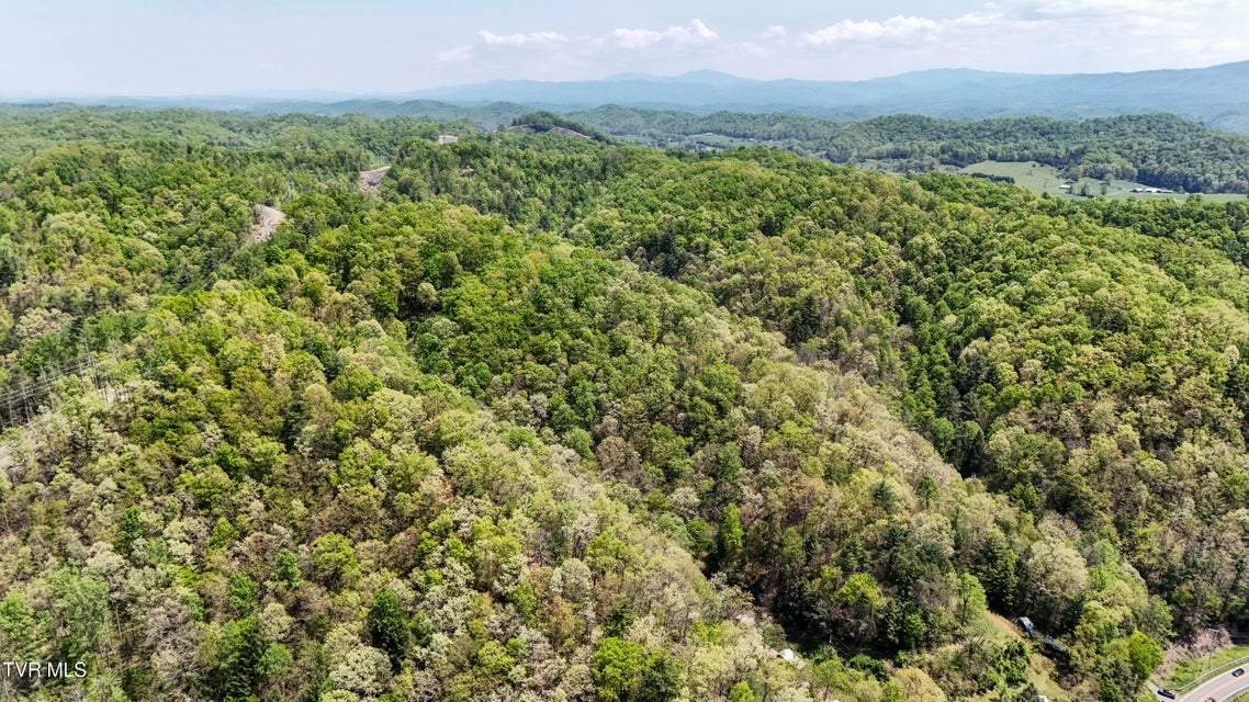 Photo #5: Tbd Green Springs Road