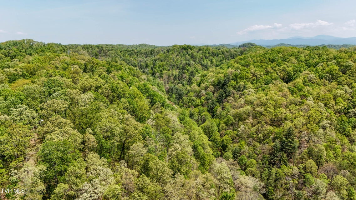 Photo #13: Tbd Green Springs Road