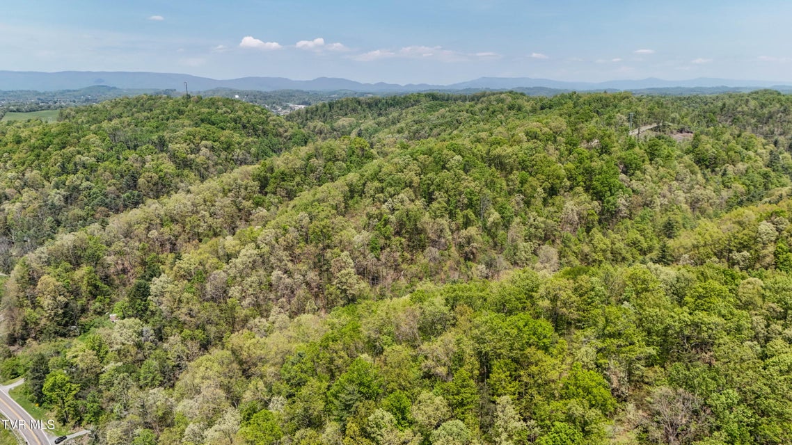 Photo #14: Tbd Green Springs Road