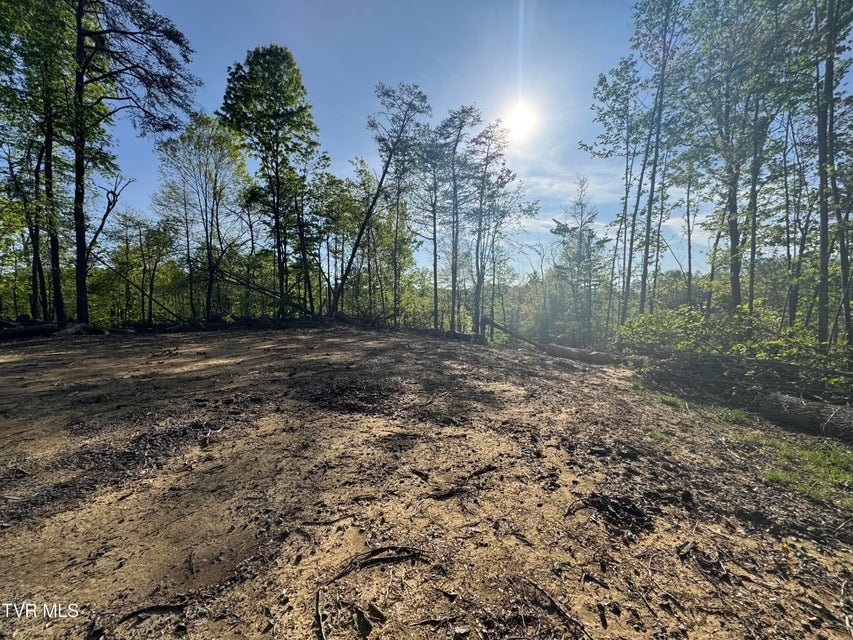 Photo #10: Tbd Green Springs Road