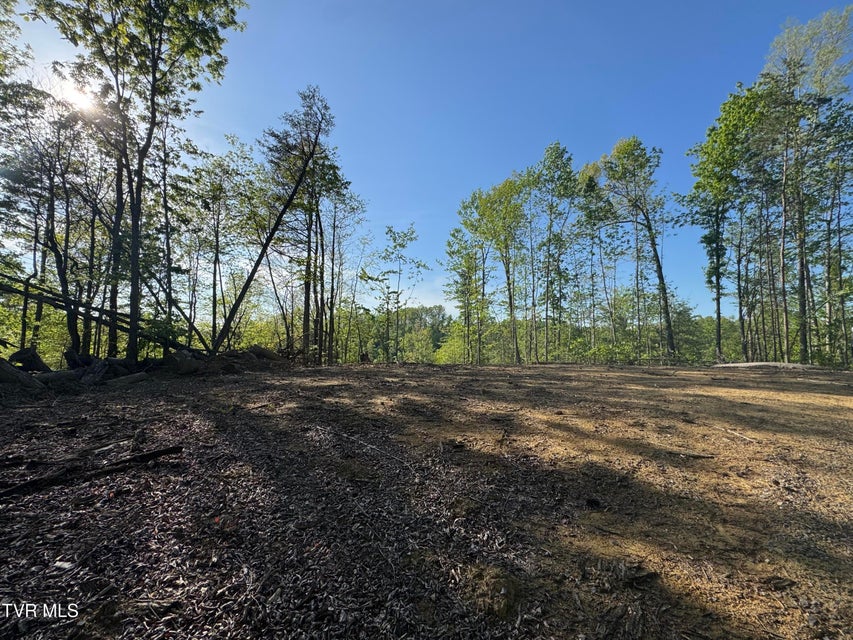 Photo #11: Tbd Green Springs Road