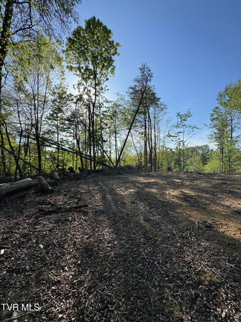 Photo #12: Tbd Green Springs Road