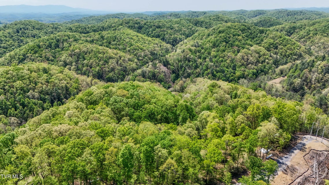 Photo #17: Tbd Green Springs Road
